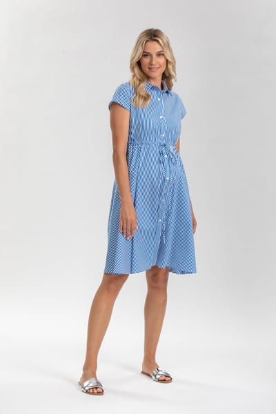 For The Creators Viola Sapphire Stripe Maternity Dress in Cotton