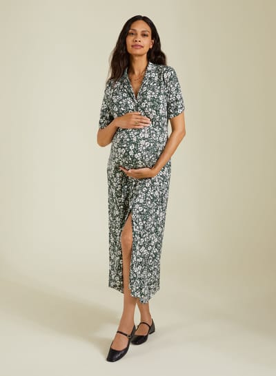 Isabella Oliver Miranda Maternity Dress