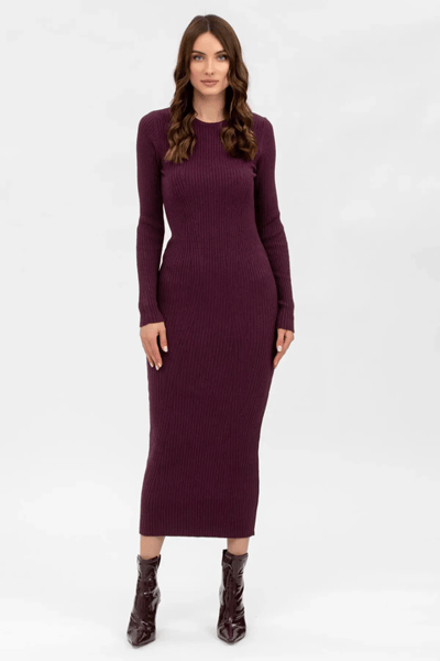 Pietro Brunelli Maternity Stella Fitted Dress in Bordeaux with Long Sleeves