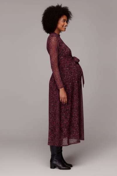 Whistles Outlined Floral Tie Mesh Dress