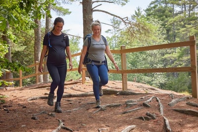 Arctic Lynx Maternity Maternity Midweight Legging + Postpartum Legging