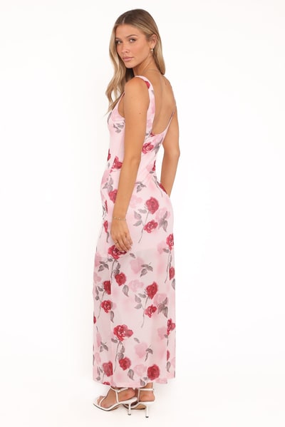 Petal & Pup Brissa Maxi Dress - Pink Floral