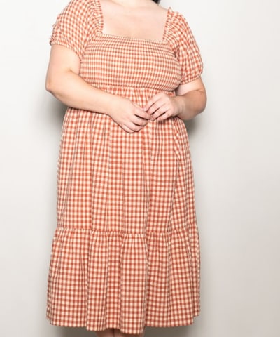 Bump City The Plus Gingham Puff Sleeve Midi Dress (Cherry)