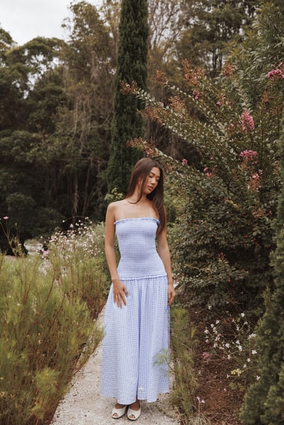 Petal & Pup Parkway Maxi Dress - Blue Gingham