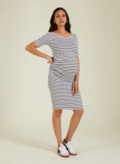 Isabella Oliver Anise Maternity Dress